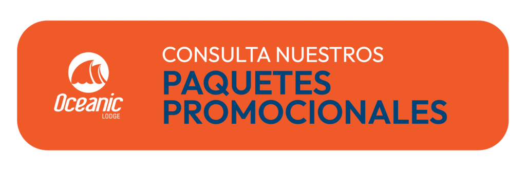 base diseÑo oceanic 19